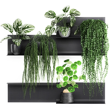 Vertical Garden Shelf Kit: Exotic Plants & Succulents 3D model image 1 