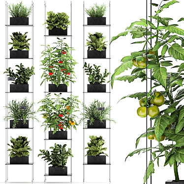 Vertical Greenery: Kitchen Garden & Exotic Plants 3D model image 1 