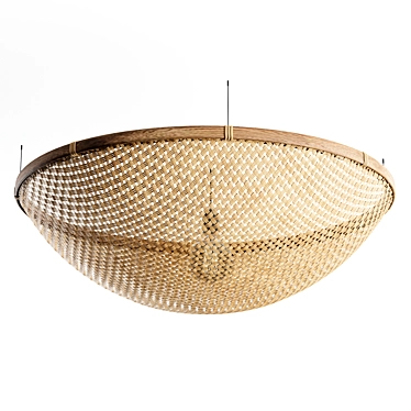 Rustic Rattan Pendant Lights 3D model image 1 