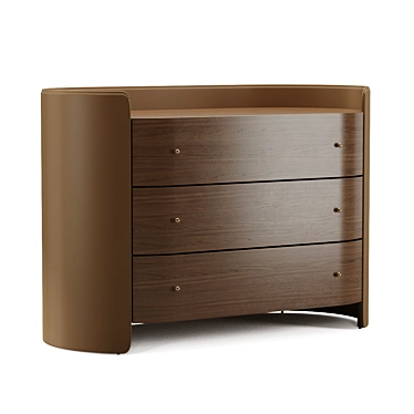 Walnut & Leather AM PM Chest of Drawers & Sideboards 3D model image 1 