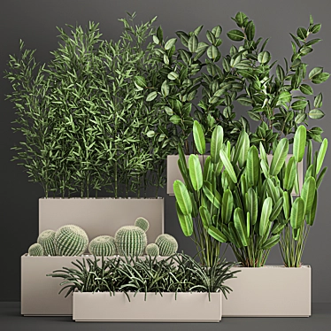 Exotic Plant Collection: Tropical Palms, Cacti, and Bamboo 3D model image 1 