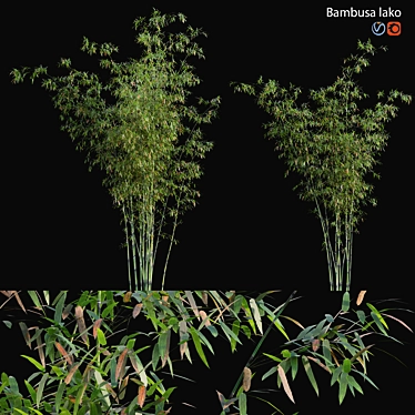 Bamboo Archive - 3D Models & Textures 3D model image 1 