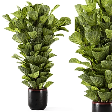 Rusty Concrete Pot Indoor Plants 3D model image 1 