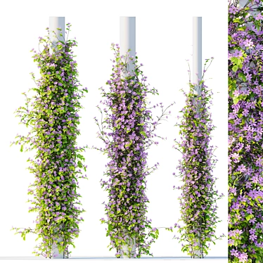 Blossoming Vine Trio: Varied Radii 3D model image 1 