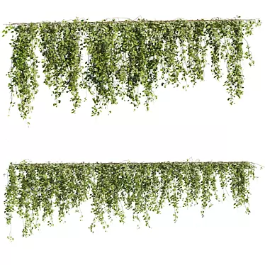 Evergreen Ivy Collection: Premium Quality 3D model image 1 