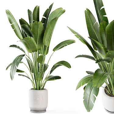 Rustic Indoor Plant Set - Concrete Pot 3D model image 1 