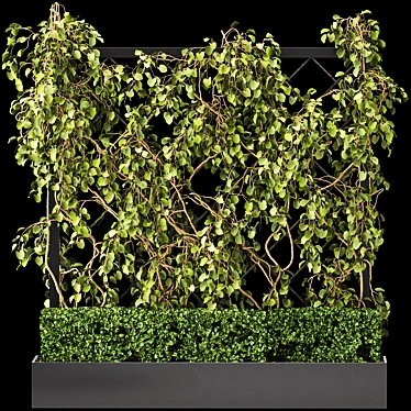 Green Wall - Outdoor Vertical Garden 3D model image 1 