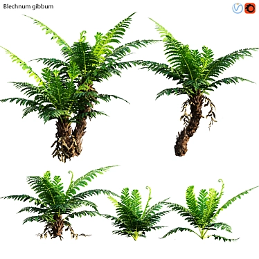 Silver Fern: Elegant Indoor Plant 3D model image 1 