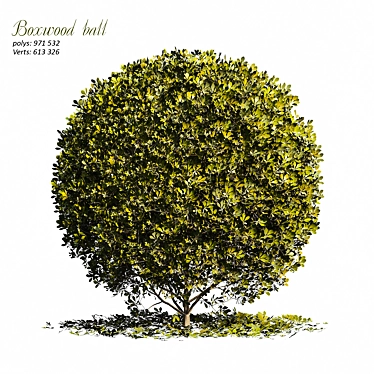 Artificial Boxwood Teardrop Ball 3D model image 1 