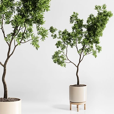 176 Wood Vase Indoor Plant Pot 3D model image 1 