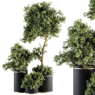 Green Oasis - Indoor Plant Set 3D model image 1 
