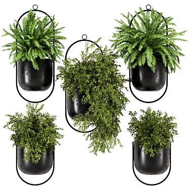 Modern Metal Hanging Plant Set 3D model image 1 