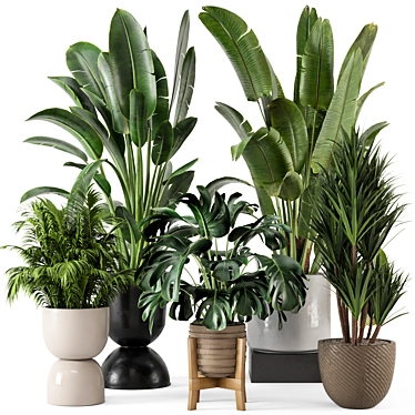 Modern Indoor Plants Set in Bau Pot 3D model image 1 