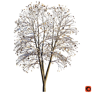 Winter Wonderland: Snow Tree 2 3D model image 1 