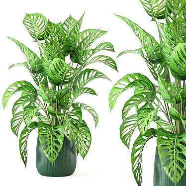 Indoor Oasis Collection: Set 282 3D model image 1 