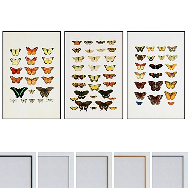 Butterfly Frame Set 508 - Set of 3 Modern Style Picture Frames with Illustrations 3D model image 1 