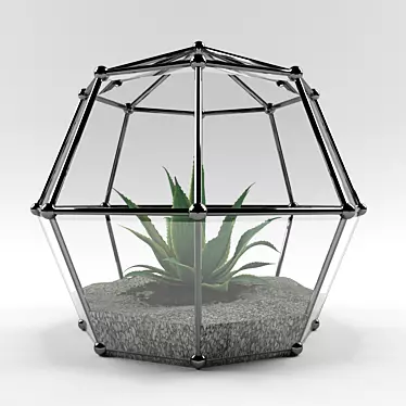 Modern Florarium Decoration 3D model image 1 