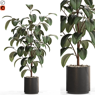 Greenery 702 Plant Collection 3D model image 1 