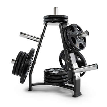 Fitness Disc Rack 2017 Version 3D model image 1 