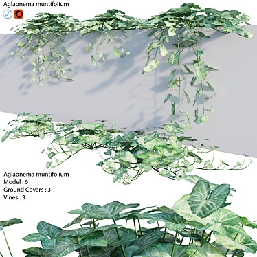 Indoor Plant 3D Model Archive 3D model image 1 