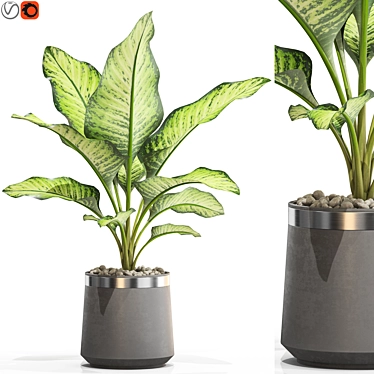 Unique Plant Collection Set 3D model image 1 