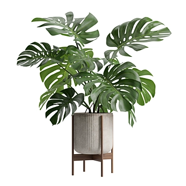 Tropical Monstera Houseplant Deluxe 3D model image 1 