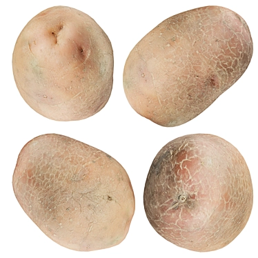 High-resolution 3D Potato Scan 3D model image 1 