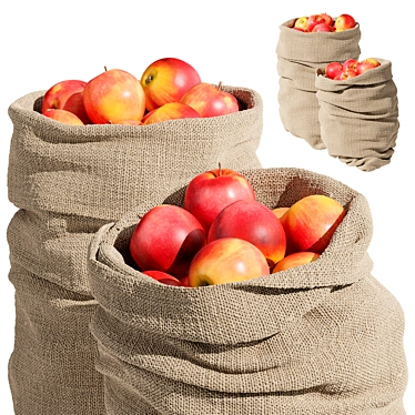 3D Apple Bag Scanner 8K 3D model image 1 