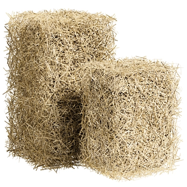 Premium Hay Bales - Various Sizes 3D model image 1 