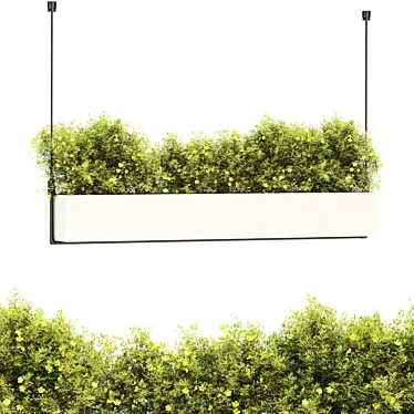 Plants Set 18