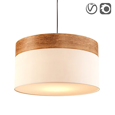 Natural Modern Metal Pendant Light 3D model image 1 