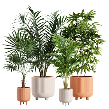 Exotic Indoor Plants Pack Bundle 3D model image 1 