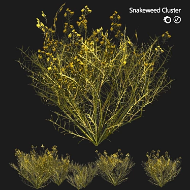 Snakeweed Cluster 3D Model 3D model image 1 