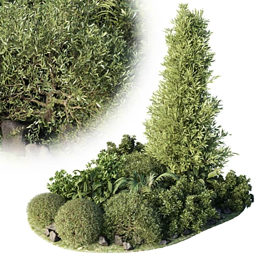 Tropical Topiary and Plants Set 3D model image 1 