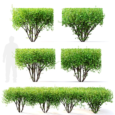 Rectangular Hedge Bush Set - 1.5m 3D model image 1 