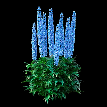 Delphinium