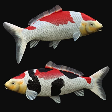 3DSmax Rigged Koi Fish 3D model image 1 