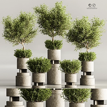 Modern Indoor Plant Collection Set 3D model image 1 