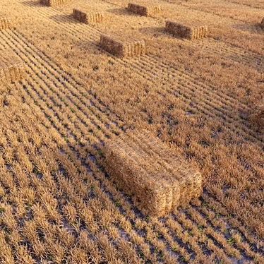 Rural Field with Scattered Hay 3D model image 1 