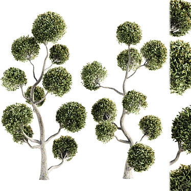 Topiary Boulevard 3D Model Display 3D model image 1 