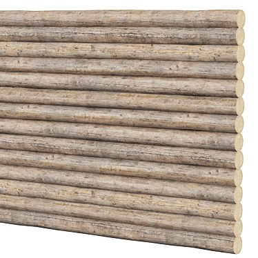 Cylindrical Log 3D model image 1 