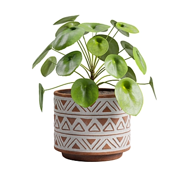 Chinese Money Plant 3D Model 3D model image 1 