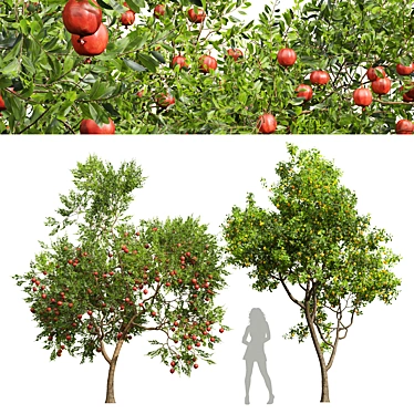 Fruity 3D Tree Bundle 3D model image 1 