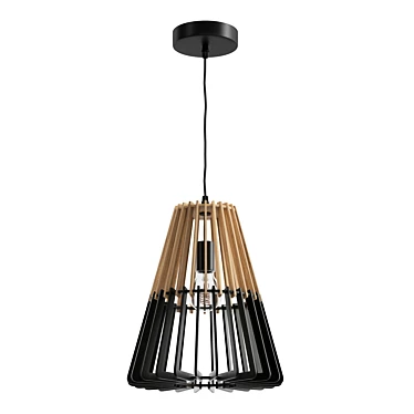 Scandi Boho Pendant Light Fixture 3D model image 1 