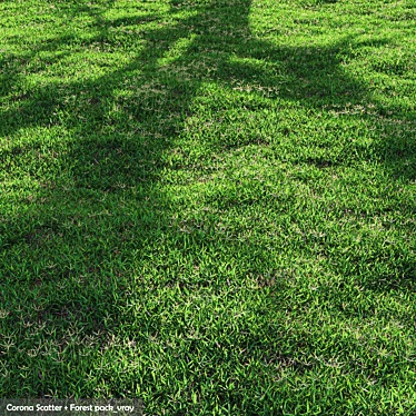 High-Quality Bermuda Grass Package 3D model image 1 