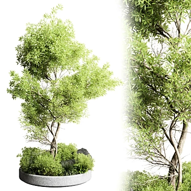 Garden Pot Plant Collection Outdoor 3D model image 1 