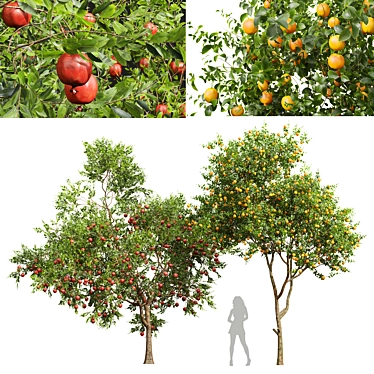 Fruity 3D Models Set 3D model image 1 