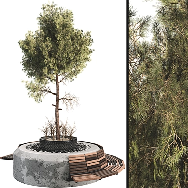 Botanical Outdoor Plant Set 3D 3D model image 1 