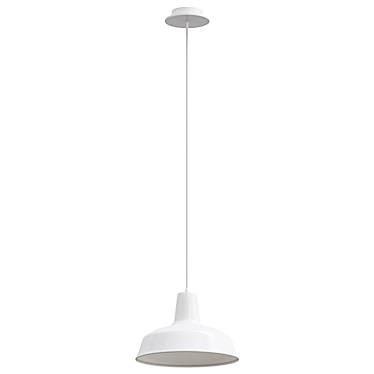 Industrial Vintage Pendant Light Fixture 3D model image 1 
