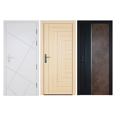 Variety of Premium Entrance Doors 3D model image 1 